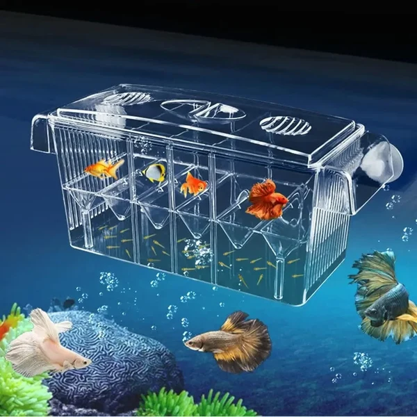 Aquarium Zucht Inkubator Isolationsbox Doppelter Layer 4 Räume Transparentes Acryl Selbstschwimmende Fischbrutkasten Fischtank