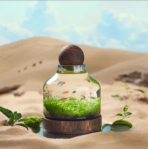 Micro Aquarium Kompakt Glas Ökologischer Fischtank