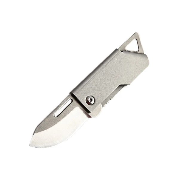 Faltbares Master Edelstahl Überlebens Mini Messer