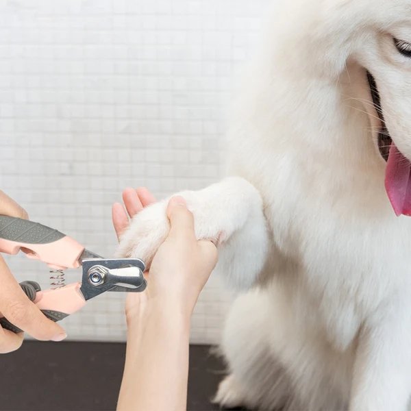 Nagelknipser für Haustiere