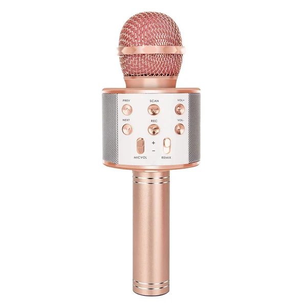 Wiederaufladbares kabelloses Bluetooth Karaoke-Mikrofon