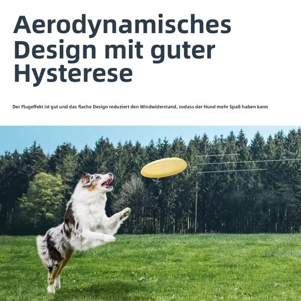 Verschleißfeste Zähne interaktives Training Haustier Frisbee