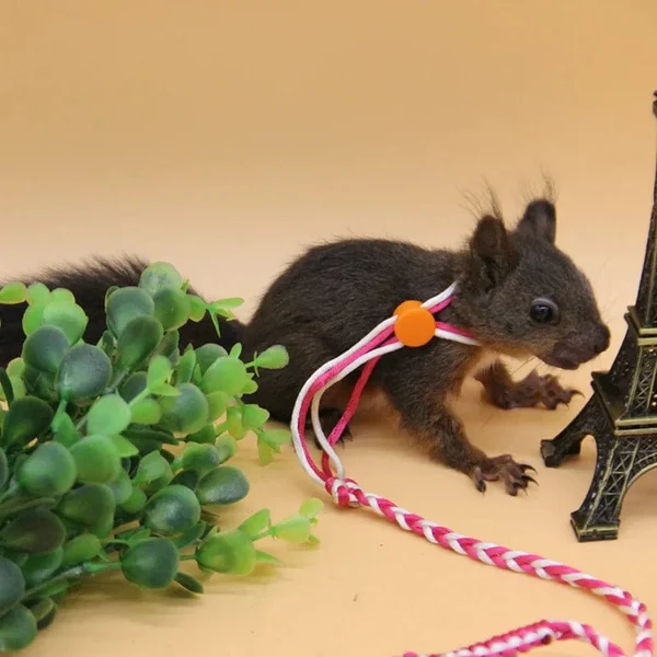 1,4m 2,0m Verstellbare Haustier Hamster Leine Geschirr Seil Gerbil Baumwollseil Geschirr Leine Halsband für Ratte Maus Hamster Haustier Käfig Leine Hover Image