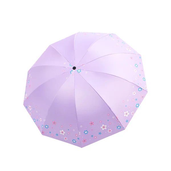 Damen Regenschirm Hover Image