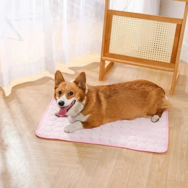 Sommer-Kühlmatte für Haustiere Gel-Eis-Pad für Hunde Katzen Atmungsaktive weiche Hundebett rutschfest für heißes Wetter Kühlpad für Haustiere Hover Image