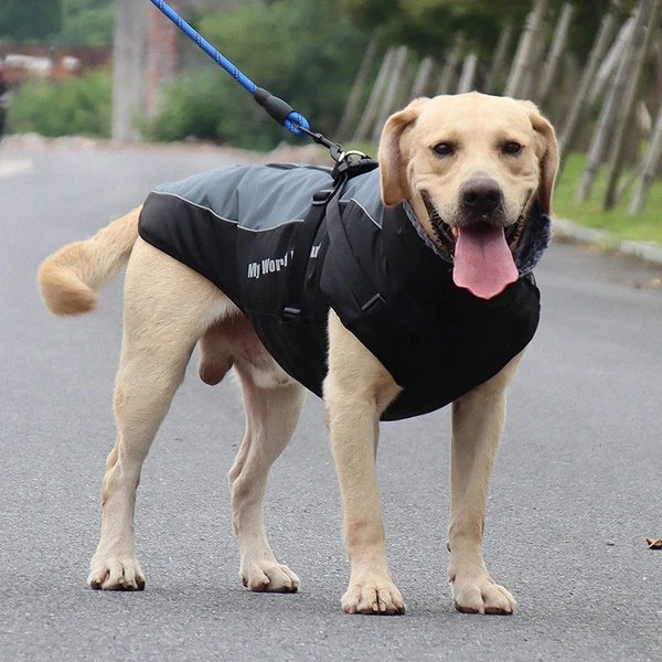Wasserdichte Winterhundejacken