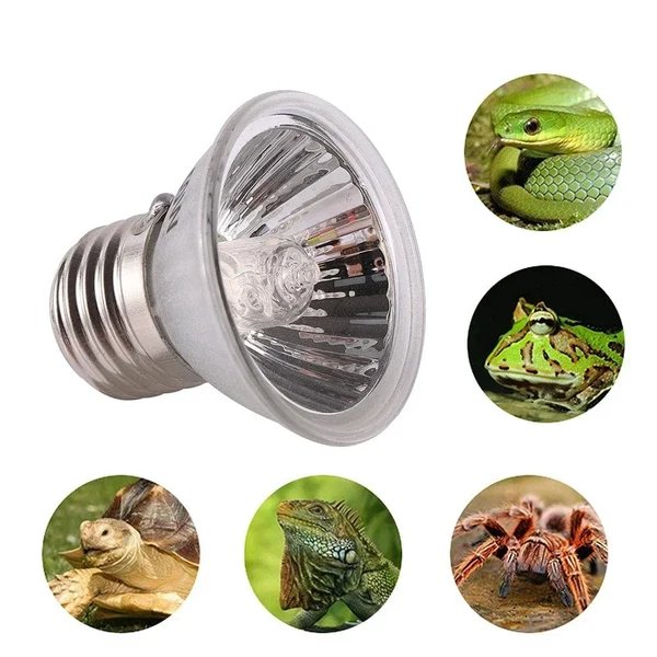 25/50/75W Reptilien Licht UVA+UVB 3.0 120v-220v Haustier Heizlampe Schildkröte Sonnenbrenner Lampe Amphibie Eidechse Temperaturregelung Hover Image