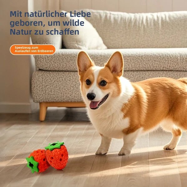 Fehlende Lebensmittel Tibetisches Essen Erdbeere Backenzahn Spielzeug
