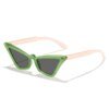 Damen trendige Katzenaugen-Sonnenbrille mit modernem Rahmen