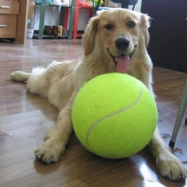 Giant Dog Tennisball Spielzeug