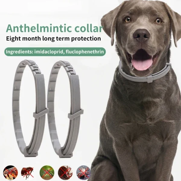 Anti Zecken Halsband Hover Image
