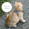 Abenteuerliches Katzengeschirr mit Leine – Verstellbar und Reflektierend