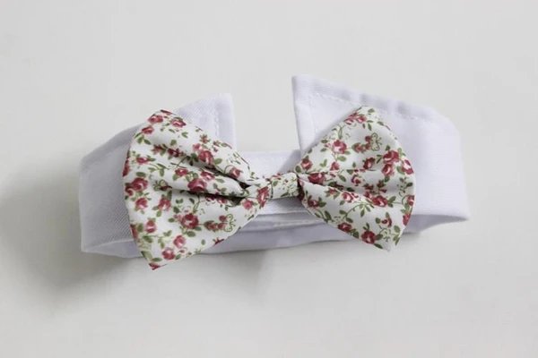 Dapper Pet Fliegen - Für Katzen & Hunde