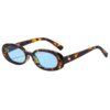 Damen modische Sonnenbrille mit ovalem Rahmen und trendigen Gläsern