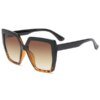 Damen modische transparente Sonnenbrille mit quadratischen Gläsern