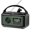 StormGuard Wetterradio – 12000mAh Notfunkradio mit Powerbank, Dual-Solarpanel und NOAA