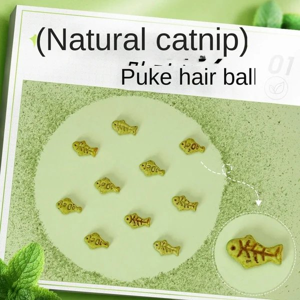 Kat Minze Keks Katze Essend Snack Haustier Mahlzahn Ernährung Dickmachend Kätzchen Snack Erwachsen Katze Belohnung