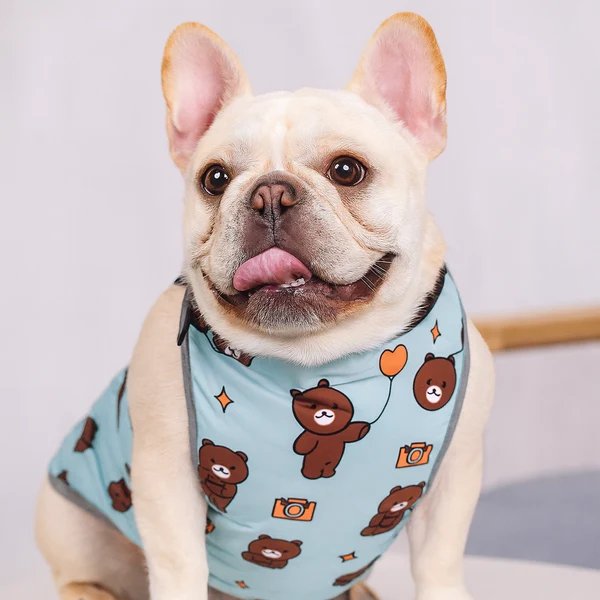 CooLie Frenchie Kühlweste – Sommerschutz für den Bauch Komfort