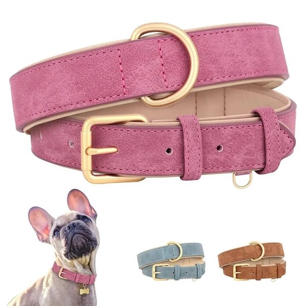 Pup Halsband