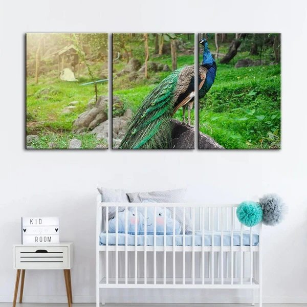 Würdevolles Sonnendurchflutetes Pfau-Leinwand Wandkunst Gemälde 3 Stück
