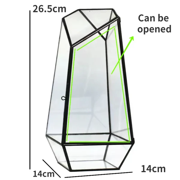 Moderner geometrischer naturinspirierter botanischer Terrarium