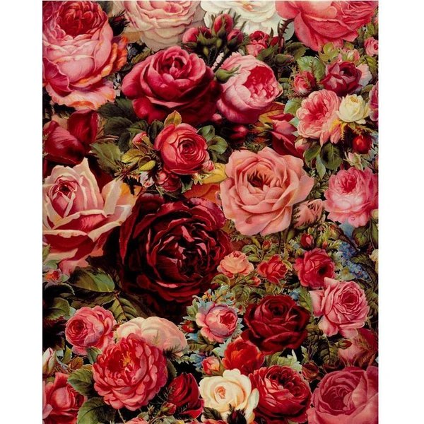 Rose Universe - Van-Go Malen-nach-Zahlen Set