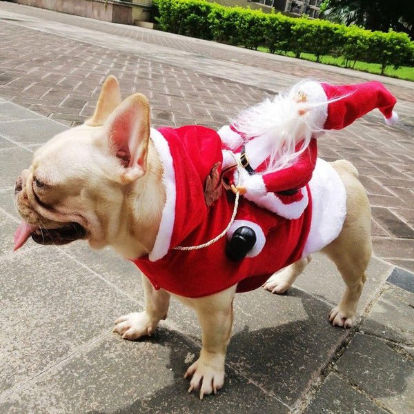 Weihnachtsmann Hundekostüm Hover Image