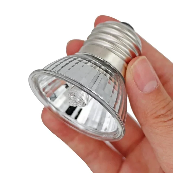 Reptilienlampe 25/50/75W UVA+UVB 3.0 Haustier Wärmelampe Glühbirne Schildkröte Basking UV Lichtlampen Amphibien Eidechsen Temperaturregler Hover Image