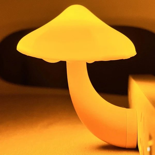 ShroomShine Hover Image