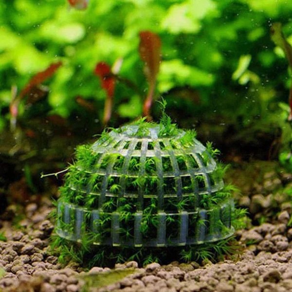 1pc Aquatische Haustierbedarf Dekorationen Aquarium Moosball lebende Pflanzen Filter für Java-Garnelen Fischtank Haustier Fischtank Dekor Hover Image