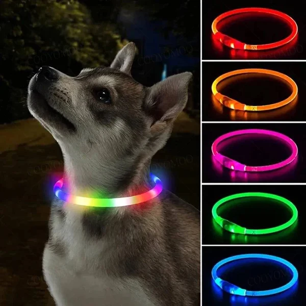 3 Modi Hund Luminou Ladehalsband Led Usb Katze Silikon Farbiger Kragen Abnehmbares Nachtleuchten Haustier Verlustprävention Hunde Zubehör