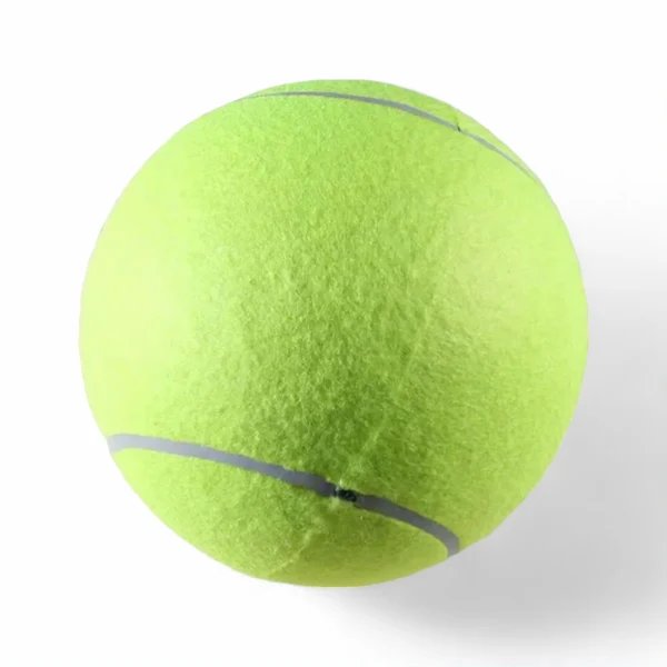 Fetch Ball