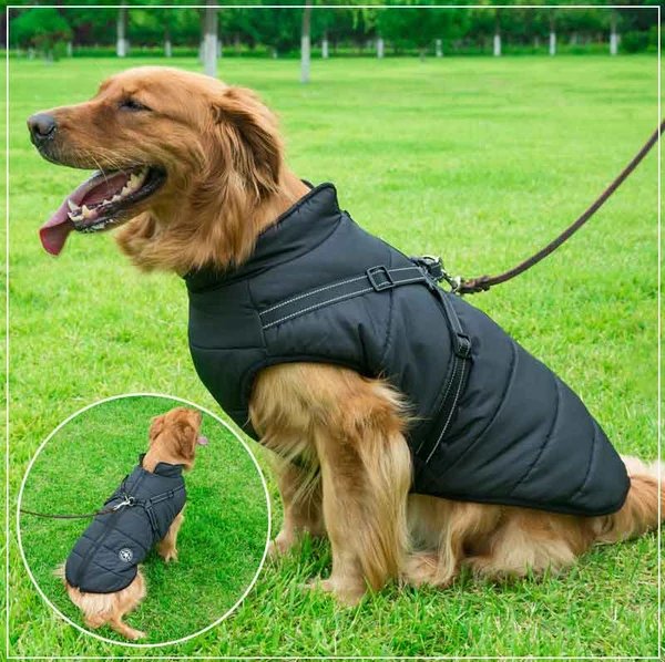 Winter Hundejacke mit Geschirr Hover Image