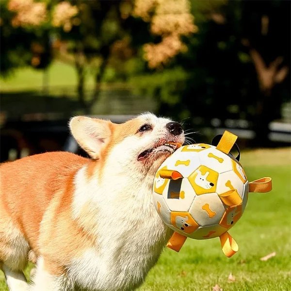 Interaktives Fußballspielzeug für Hunde