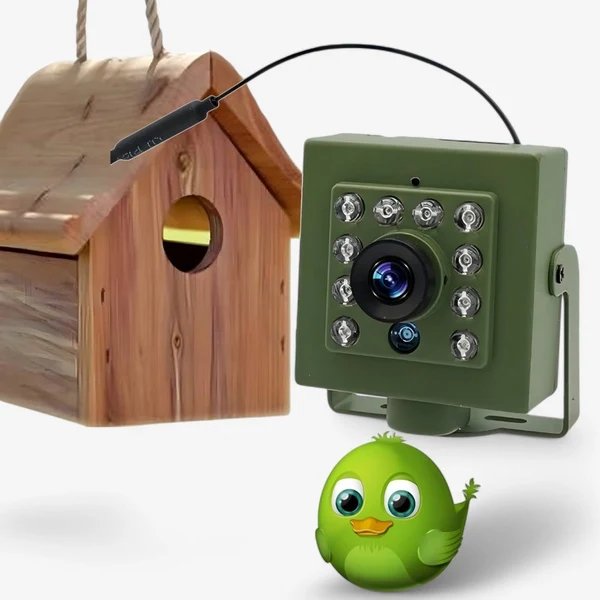 Nestcam WLAN-Vogelnestkamera – Wetterfeste 1080p HD-Wildtierkamera mit Nachtsicht, Bewegungserkennung und Fernzugriff