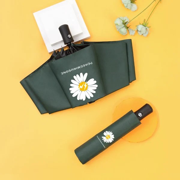 Damen kreativer Faltregenschirm mit umweltfreundlichem Design