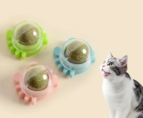 Katzenminze Ball Katzenspielzeug
