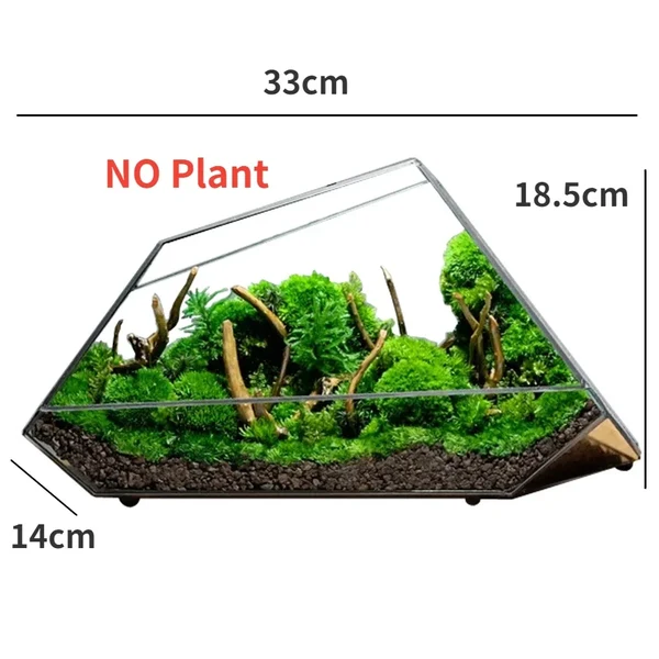 Geometric Glass Moss Planter Terrarium Vase