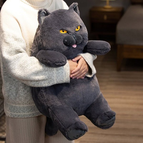 Poe die grimmige Katze Plüschfigur