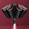 StormShield LED-Regenschirm mit Automatik
