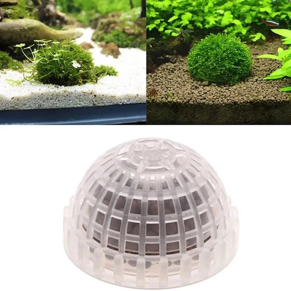 1pc Aquatische Haustierbedarf Dekorationen Aquarium Moosball lebende Pflanzen Filter für Java-Garnelen Fischtank Haustier Fischtank Dekor