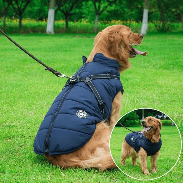 Winter Hundejacke mit Geschirr