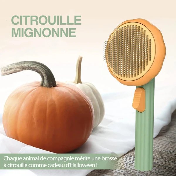Pumpkin Comb Bürste für Haustiere Hover Image