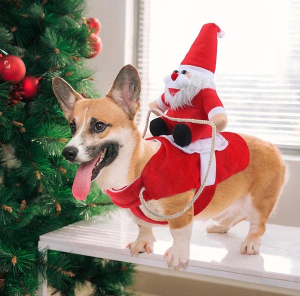 Hund Weihnachtsmann Kostüm