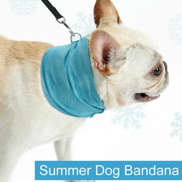 Cooling Bandana (CS15)